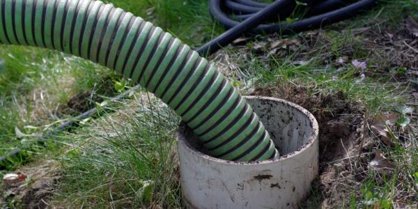 Over half of domestic waste wa...