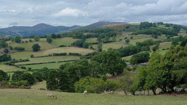 A man searching a field in Cardiff with a text<em></em>areal detector uncovered a broken Bro<em></em>nze Age sword, archaeologists said. Photo shows a representative field in Wales.