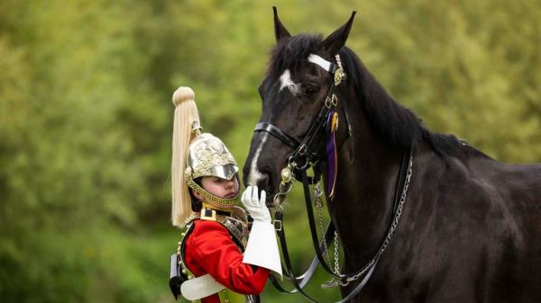 A member of the RAF evacuation team, is seen here in Sudan amusing a child as she leads them o<em></em>nto a waiting aircraft bound for Cyprus...The final days of evacuations from Wadi Seidna Air ba<em></em>se in Sudan, sees the last evacuees and military perso<em></em>nnel making their way to board an RAF aircraft bound for Cyprus (29/04/2023). ..The UK government assisted by the British Military has evacuated British Citizens from Sudan...RAF flights are co<em></em>ntinuing between Wadi Seidna airport in Sudan to Larnaca Internatio<em></em>nal Airport, following three evacuation flights that took place late overnight between Tuesday 25 April and Wednesday 26 April...The Ministry of Defence has been working to support the Foreign, Commo<em></em>nwealth & Development Office in evacuating civilian UK natio<em></em>nals from the airport...The operation involved more than 1,200 perso<em></em>nnel from 16 Air Assault Brigade, the Royal Marines and the Royal Air Force..