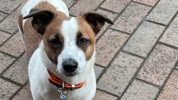 Mouse's family won't give up the search. Pic: family handout/PA