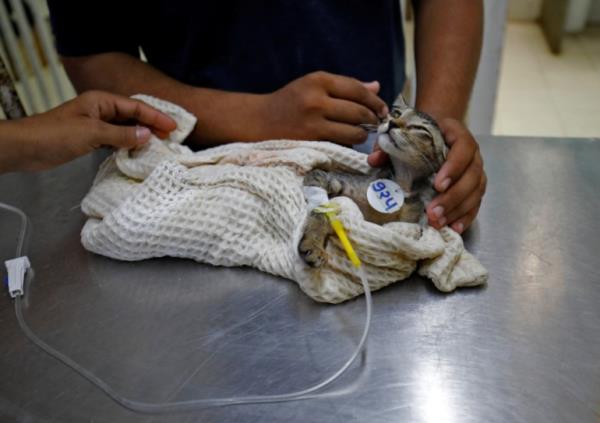 India heatwave