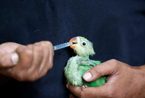 India heatwave
