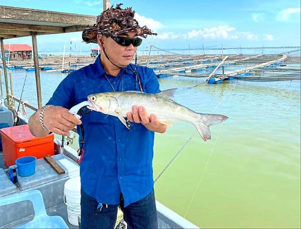 Threadfin is also a common type of fish that can be caught beside a floating fish farm.