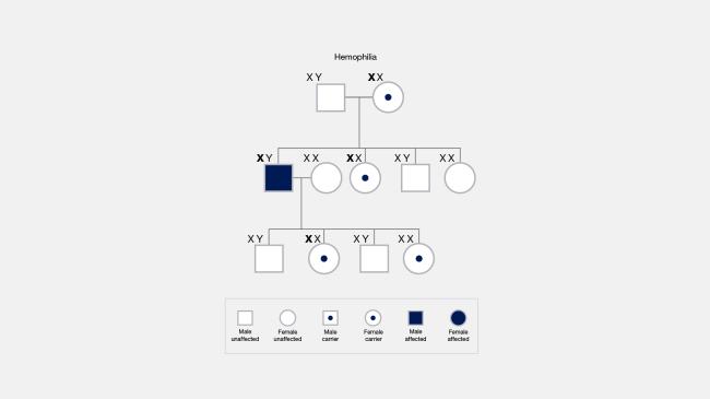 15-captivating-facts-a<em></em>bout-translation