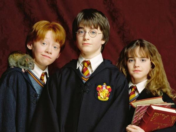 The Harry Potter stars