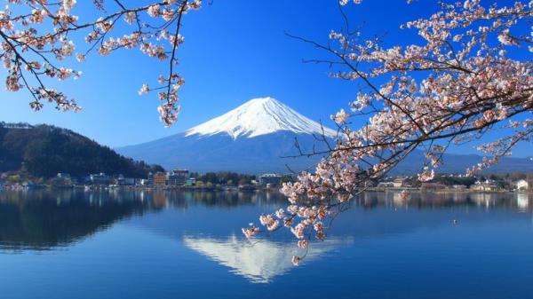 A spring view of Japan's Mt Fuji