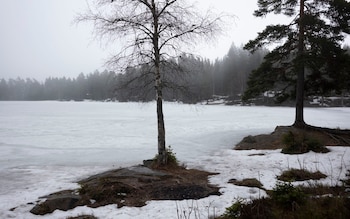 The Landfalltjern lake, an area near Marius Gustavson's home town. He spoke a<em></em>bout spending time there before moving to England