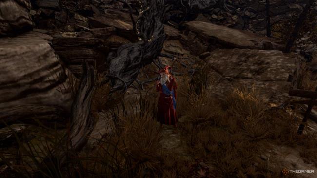 An old wizard in red robes standing nearby a dead tree in Baldur's Gate 3.