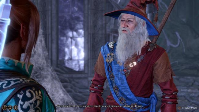 An old wizard with a doubtful ex<em></em>pression in Baldur's Gate 3.