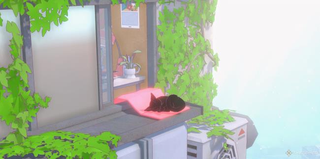 Little Kitty, Big City cat napping on the window