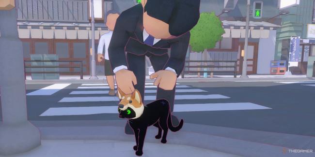 Little Kitty, Big City cat being pet