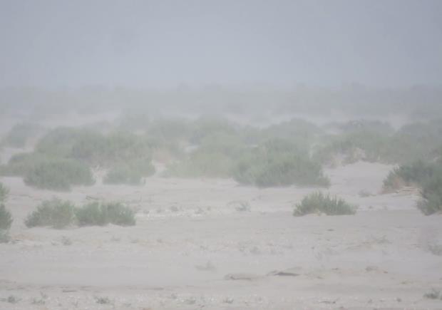 Dust storm in the Aral Sea Area
