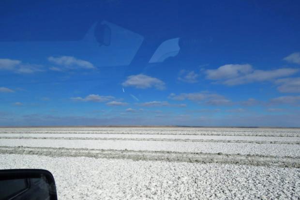 Solo<em></em>nchaks (soil with high soluble salt accumulation) on the shrinking Aral Sea lakebed.