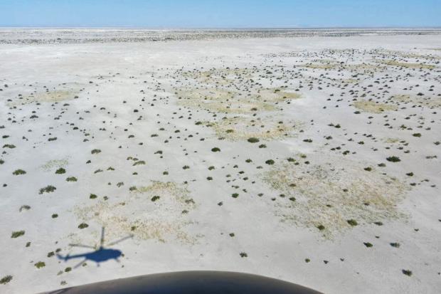 A helicopter view of the Aral Sea plantation.