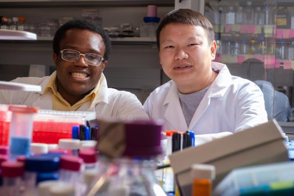researchers 