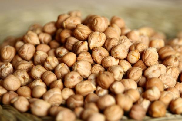 What happens to those who eat chickpeas in the evening?  Here’s the answer