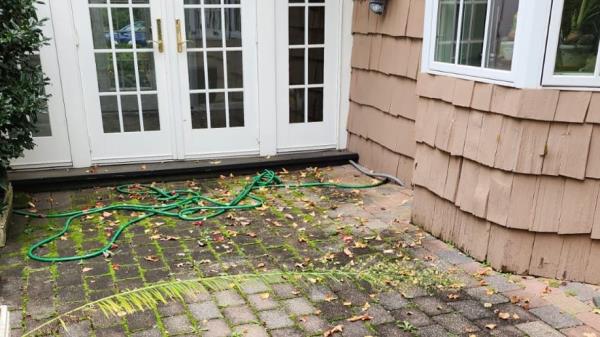 Water damage yard