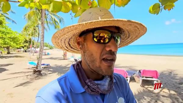 shark attack voxes tobago