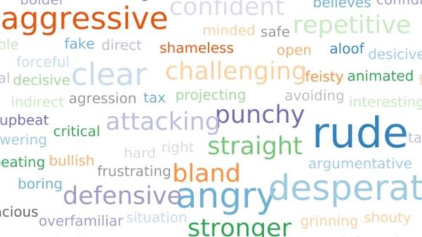 Rishi Sunak's word cloud