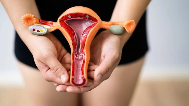 20-facts-a<em></em>bout-vaginal-orifice