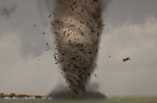 CATNADO : Cats in Twisters - The Movie - Official Trailer 2024