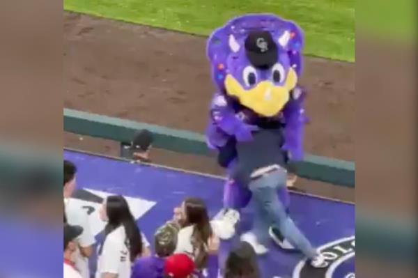 Denver police are on the hunt for a crazed ba<em></em>seball fan who tackled and injured the Colorado Rockies mascot during Monday's home game against the St. Louis Cardinals.