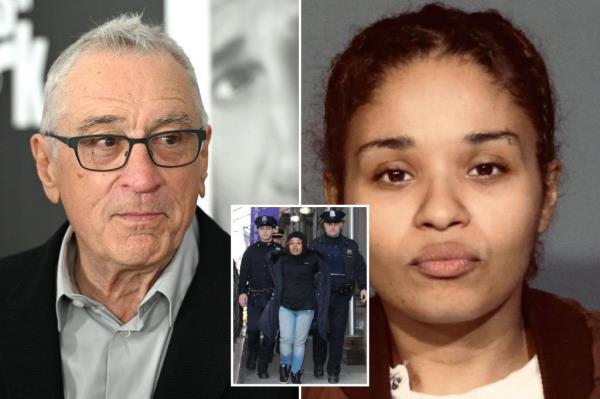 窃贼莎妮丝·阿维莱斯在罗伯特·德尼罗的纽约别墅被捕