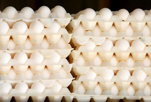 Cal-Maine Foods, the nation's largest producer of eggs, reported soaring profits last quarter.