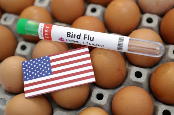 The US Department of Agriculture said it expects egg prices to fall dramatically this year.