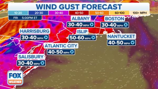 wind gust forecast