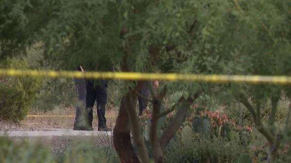 Lauren Heike, 29, was found dead 24 hours after going hiking on a trail near her Phoenix home. 