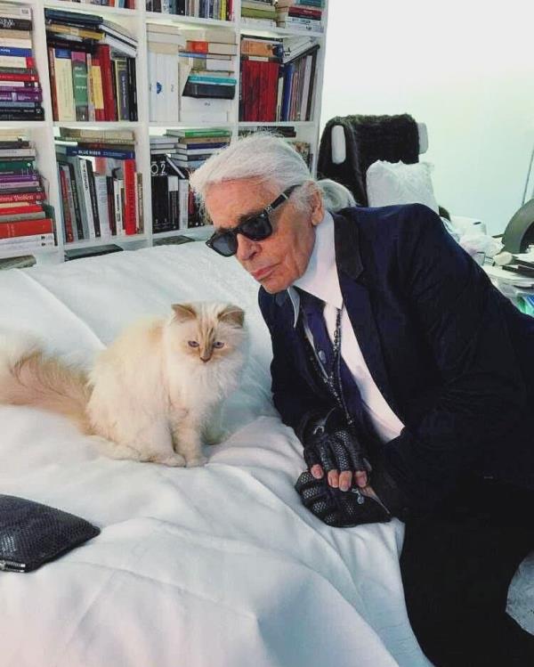 Lagerfeld adopted Choupette in 2011 from French model Baptiste Giabiconi who originally owned the beloved cat.
