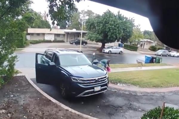 The girl's father Ariel Eliyahuo came ran over and scared the animal away.