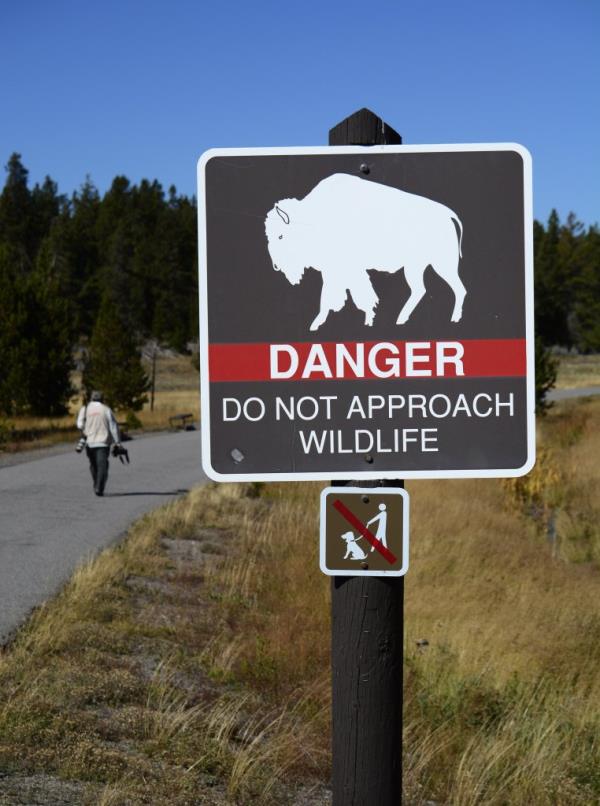 A sign in Yellowstone Natio<em></em>nal Park warns visitors to not approach bison and other wildlife in the park.