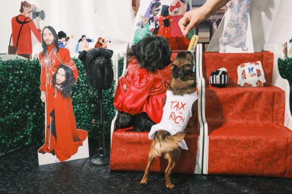 pet gala.