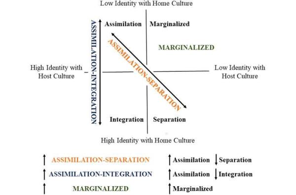 Discrimination during pregnancy can affect infant's brain circuitry
