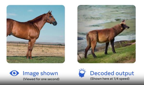 An example of image decoding by artificial intelligence. On the left, the photograph presented to the volunteer; on the right, the image produced by the AI by interpreting the subject's brain activity captured by magnetoencephalography (MEG).