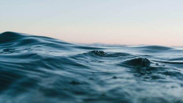 长着触角和尖牙的“火”海洋生物是一个新物种看到照片