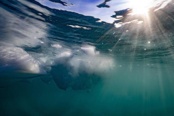 Study: Greenland’s rapidly melting ice shelves risk ‘dramatic’ sea level rise