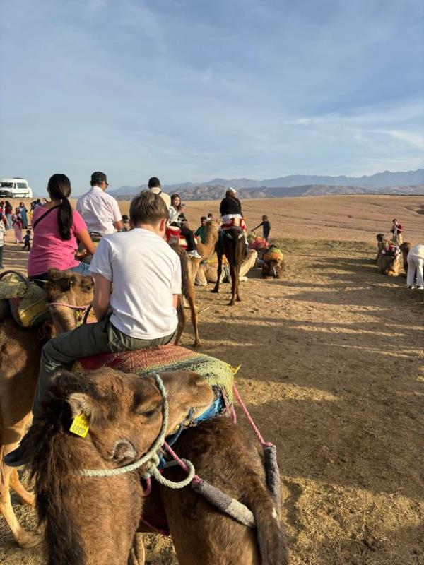 Cameron, 11, on a camel ride during one of the family's quick affordable getaways to Marrakech