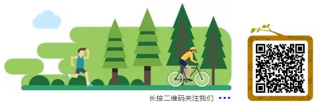 简述青少年社会支持网络_社会控制理论解释青少年犯罪_新的社会控制青少年从元网络和社会