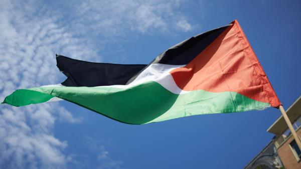 Toulouse Palestine flag [NurPhoto/Getty]