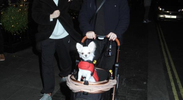 Sophie Cannell and Damien Hirst are practicing at pushing the pram with their new baby in. At the moment they o<em></em>nly put their dog and push it around but in a few mo<em></em>nths ti me they will be pushing their baby around.they went to scott?s and then they walked down the road with the pram. Everyone was looking at them especially when the little dog posed up but this is the best way to practice being a mum since Sophie has not been another before maybe Damien is showing her how to do it. They were very together and in love 18/12/2023 blitz pictures