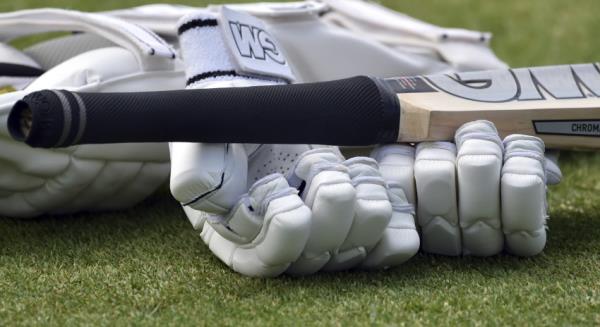 Cricket Discrimination Report