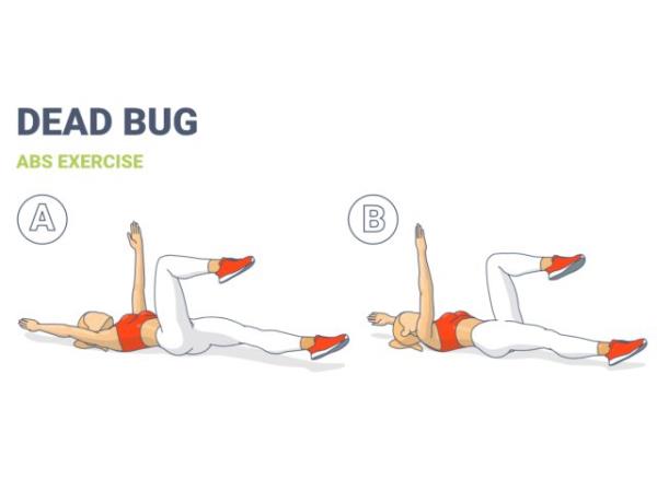 illustration of dead bug exercise
