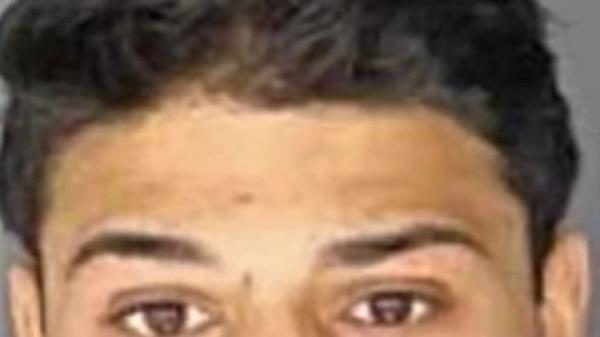 Vasu Laroiya mugshot