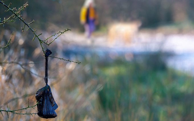 Instead of disposing dog waste, owners are hanging bags of it on trees