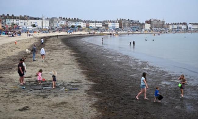 Visitors play among the seaweed at Weymouth, Dorset.